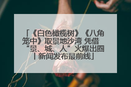 《白色橄榄树》《八角笼中》取景地沙湾 凭借“景、城、人”火爆出圈丨新闻发布最前线