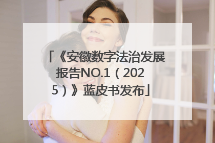 《安徽数字法治发展报告NO.1（2025）》蓝皮书发布