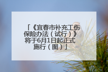 《宜春市补充工伤保险办法（试行）》将于6月1日起正式施行（图）