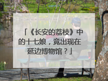 《长安的荔枝》中的十七娘，竟出现在延边博物馆？