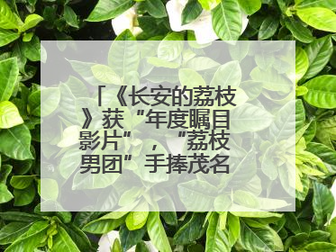 《长安的荔枝》获“年度瞩目影片”，“荔枝男团”手捧茂名荔枝走红毯
