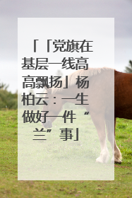 「党旗在基层一线高高飘扬」杨柏云：一生做好一件“兰”事