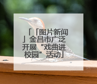 「图片新闻」金昌市广泛开展“戏曲进校园”活动
