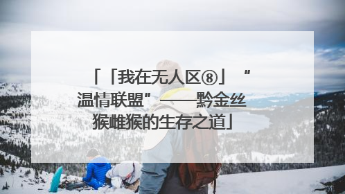 「我在无人区⑧」“温情联盟”——黔金丝猴雌猴的生存之道