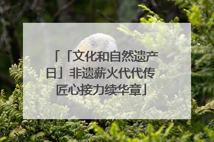 「文化和自然遗产日」非遗薪火代代传 匠心接力续华章