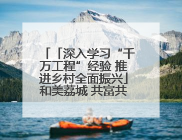 「深入学习“千万工程”经验 推进乡村全面振兴」和美荔城 共富共美 荔城区扎实推进乡村振兴工作
