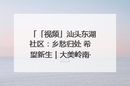 「视频」汕头东湖社区：乡愁归处 希望新生｜大美岭南·百村焕新记