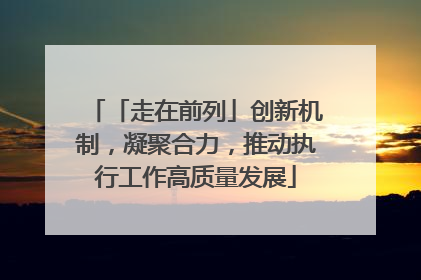 「走在前列」创新机制，凝聚合力，推动执行工作高质量发展