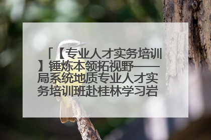 【专业人才实务培训】锤炼本领拓视野——局系统地质专业人才实务培训班赴桂林学习岩溶地质防灾与韧性城市建设前沿实践
