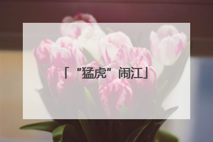 “猛虎”闹江