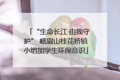 “生命长江·由我守护” 峨眉山桂花桥镇小增加学生环保意识