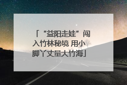 “益阳走娃”闯入竹林秘境 用小脚丫丈量大竹海