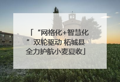 “网格化+智慧化”双轮驱动 柘城县全力护航小麦夏收