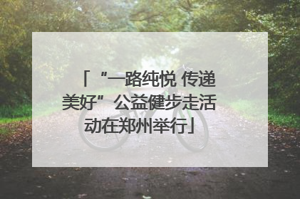 “一路纯悦 传递美好”公益健步走活动在郑州举行