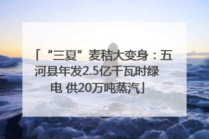 “三夏”麦秸大变身：五河县年发2.5亿千瓦时绿电 供20万吨蒸汽