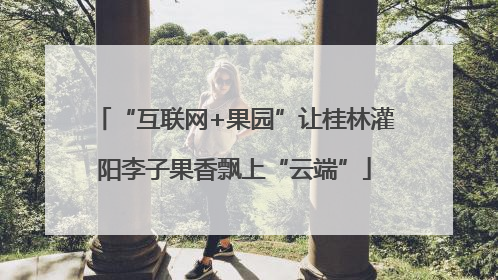 “互联网+果园”让桂林灌阳李子果香飘上“云端”