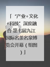“产业+文化+科技”深度融合 第七届九江国际名茶名泉博览会开幕（组图）