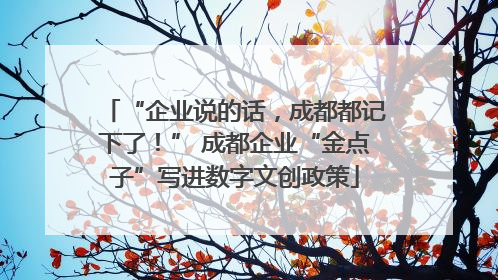 “企业说的话，成都都记下了！” 成都企业“金点子”写进数字文创政策