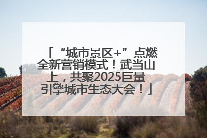 “城市景区+”点燃全新营销模式！武当山上，共聚2025巨量引擎城市生态大会！