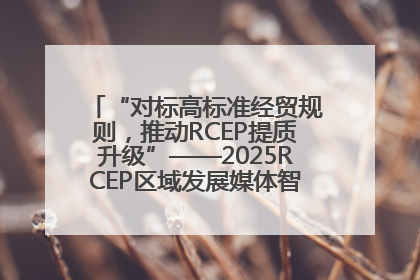 “对标高标准经贸规则，推动RCEP提质升级”——2025RCEP区域发展媒体智库论坛举行专题对话
