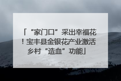 “家门口”采出幸福花！宝丰县金银花产业激活乡村“造血”功能