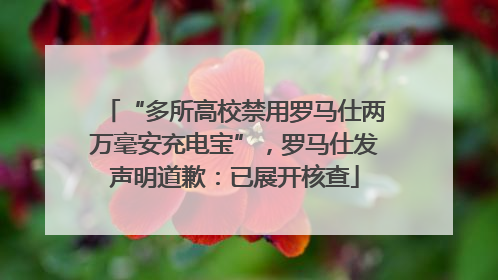 “多所高校禁用罗马仕两万毫安充电宝”，罗马仕发声明道歉：已展开核查