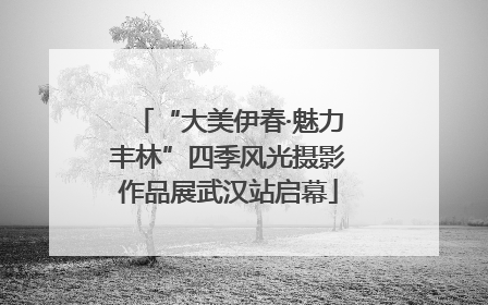 “大美伊春·魅力丰林”四季风光摄影作品展武汉站启幕