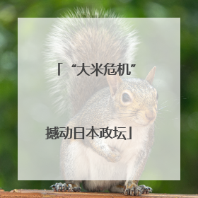 “大米危机”撼动日本政坛