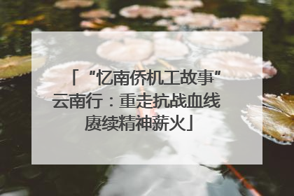 “忆南侨机工故事”云南行：重走抗战血线 赓续精神薪火