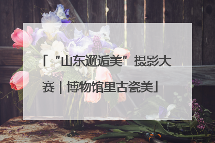 “山东邂逅美”摄影大赛｜博物馆里古瓷美