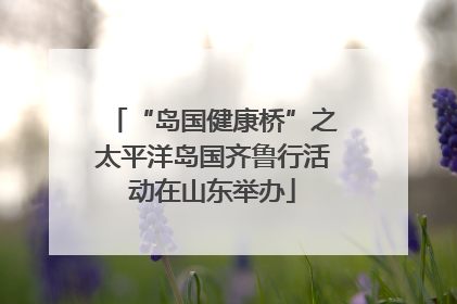 “岛国健康桥”之太平洋岛国齐鲁行活动在山东举办
