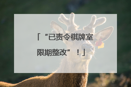 “已责令棋牌室限期整改”！