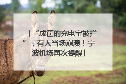 “成筐的充电宝被拦”，有人当场崩溃！宁波机场再次提醒