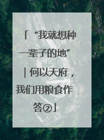 “我就想种一辈子的地”｜何以天府，我们用粮食作答②
