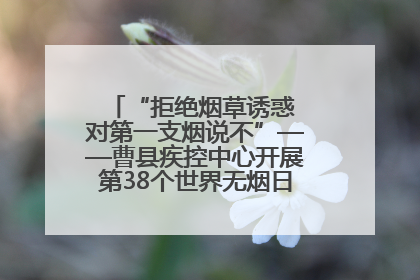 “拒绝烟草诱惑 对第一支烟说不”——曹县疾控中心开展第38个世界无烟日科普宣传活动