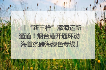 “新三样”添海运新通道！烟台港开通环渤海首条跨海绿色专线