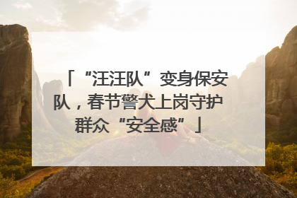 “汪汪队”变身保安队，春节警犬上岗守护群众“安全感”