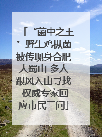 “菌中之王”野生鸡枞菌被传现身合肥大蜀山 多人跟风入山寻找 权威专家回应市民三问