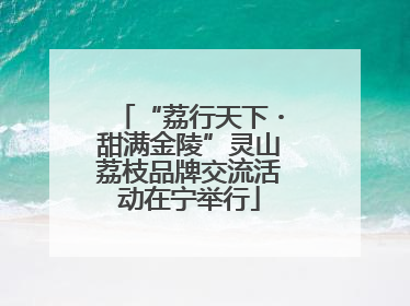 “荔行天下・甜满金陵”灵山荔枝品牌交流活动在宁举行