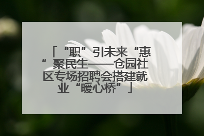 “职”引未来“惠”聚民生——仓园社区专场招聘会搭建就业“暖心桥”