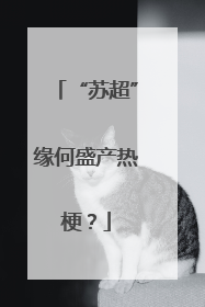 “苏超”缘何盛产热梗？
