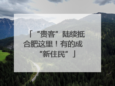 “贵客”陆续抵合肥这里！有的成“新住民”