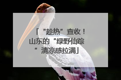 “趁热”查收！山东的“绿野仙踪”清凉感拉满