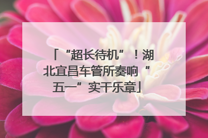 “超长待机”！湖北宜昌车管所奏响“五一”实干乐章