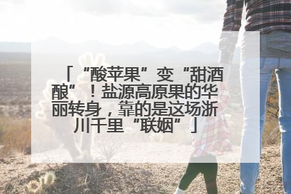 “酸苹果”变“甜酒酿”！盐源高原果的华丽转身，靠的是这场浙川千里“联姻”