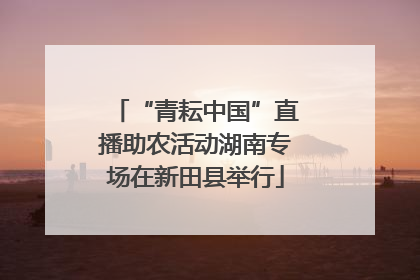“青耘中国”直播助农活动湖南专场在新田县举行