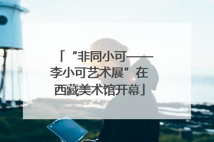 “非同小可——李小可艺术展”在西藏美术馆开幕