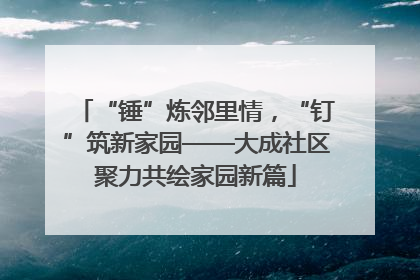 “锤”炼邻里情，“钉”筑新家园——大成社区聚力共绘家园新篇