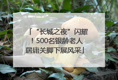 “长城之夜”闪耀！500名银龄老人居庸关脚下展风采