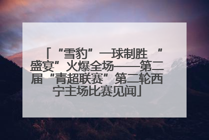 “雪豹”一球制胜 “盛宴”火爆全场——第二届“青超联赛”第二轮西宁主场比赛见闻